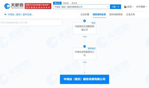 中國海油在雄安成立服務(wù)發(fā)展公司，注冊資本1億聚焦網(wǎng)絡(luò)技術(shù)服務(wù)